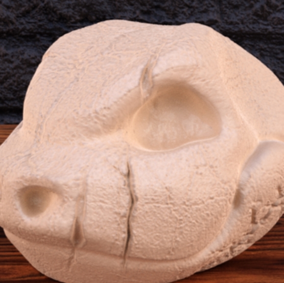 Pokemon skulls - Picture 4 of 7